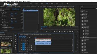 残影爆料视频下载免费,免费下载视频背后的秘密 第2张 残影爆料视频下载免费,免费下载视频背后的秘密 第2张